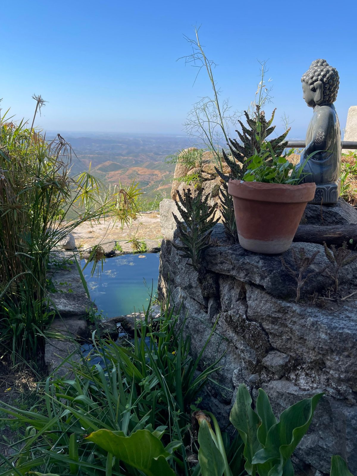 A Buddha statue and a small pond at Karuna Retreat Center, looking over the Serra de Monchique, Algarve, Portugal